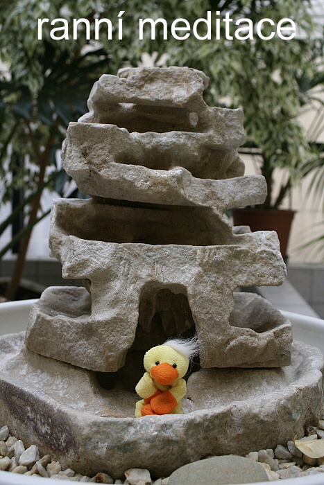 101