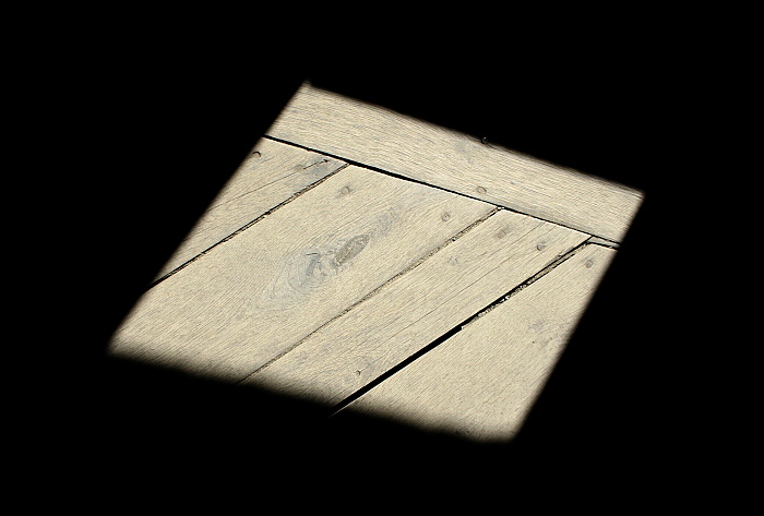 _MG_8503